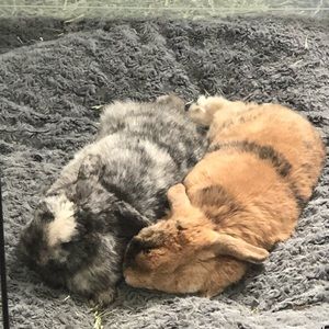 Meet your Posher, Roberto